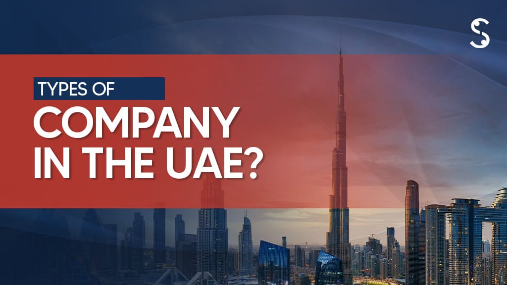 Explore Types of Companies in the UAE